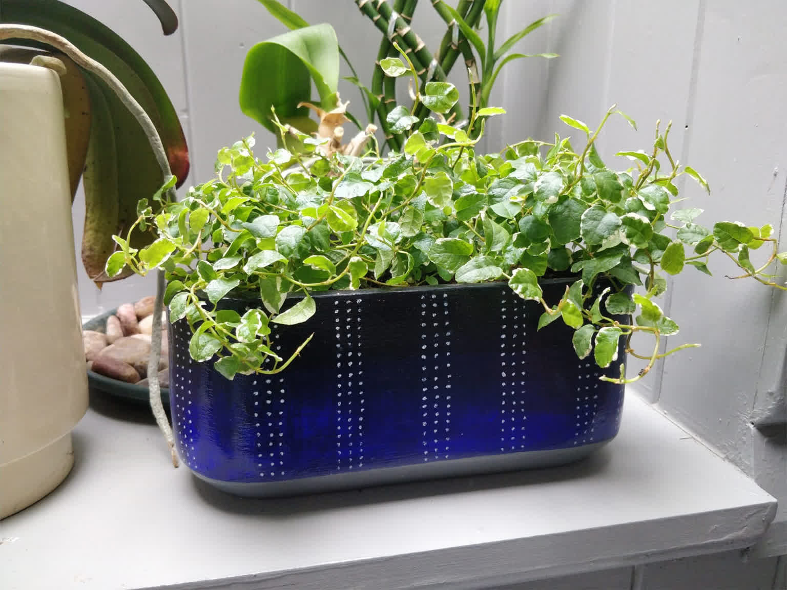Plant pot inspired by the night sky. Variable inserts provide different growing conditions for different kinds of plants